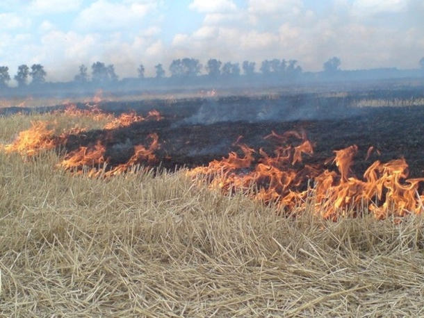 Вблизи Кременчуга горела сухая трава