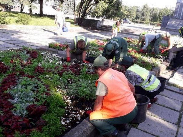 Ежедневно в Кременчуге по 20 коммунальщиков высаживают цветы