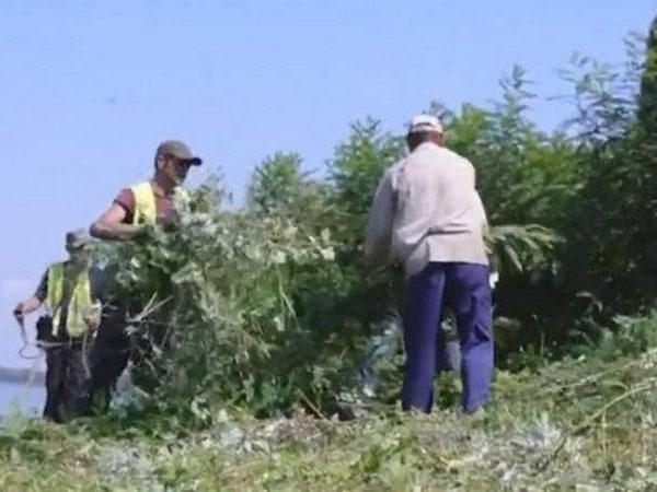 Кременчугские коммунальщики продолжают проводить расчистку берегов Днепра