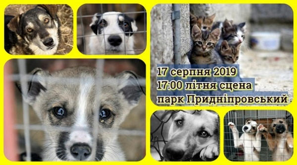 В Кременчуге пройдет Собачья вечеринка