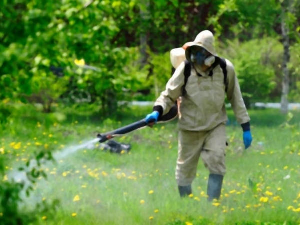 В Кременчуге в парке «Юбилейном» будут травить клещей