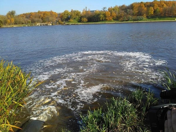 Под Кременчугом в открытых водоемах обнаружили холероподобный вибрион