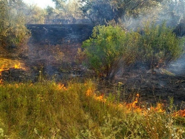 В ГСЧС озвучили последствия пожаров в Кременчуге и районе
