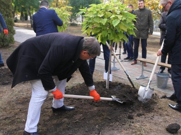 В одном из кременчугских парков появилось 4 дерева мира