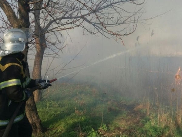 С начала года в Кременчуге и районе зафиксировано 153 пожаров сухостоя