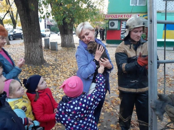 В Кременчуге спасатели снимали с дерева маленького котика