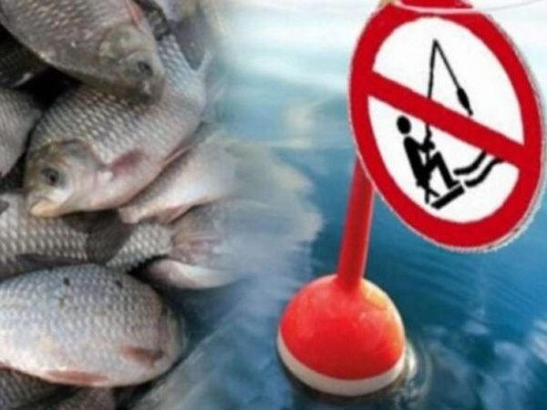 Кременчужан предупреждают о запрете на вылов рыбы