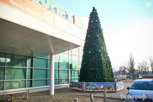 Нового года без елки в Кременчуге не будет