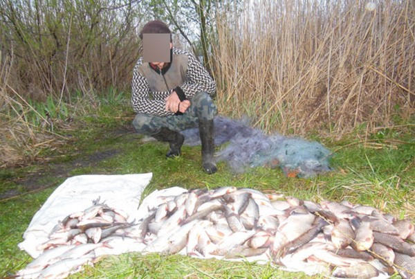 В Кременчугском районе поймали еще одного браконьера