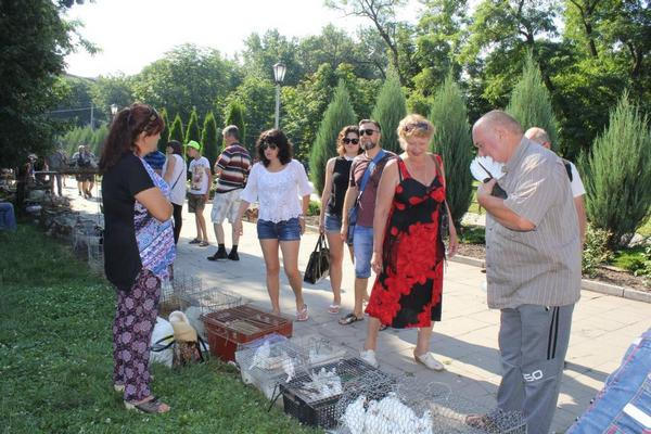 В Кременчуге прошла Всеукраинская выставка голубей и домашних питомцев «В мире животных»
