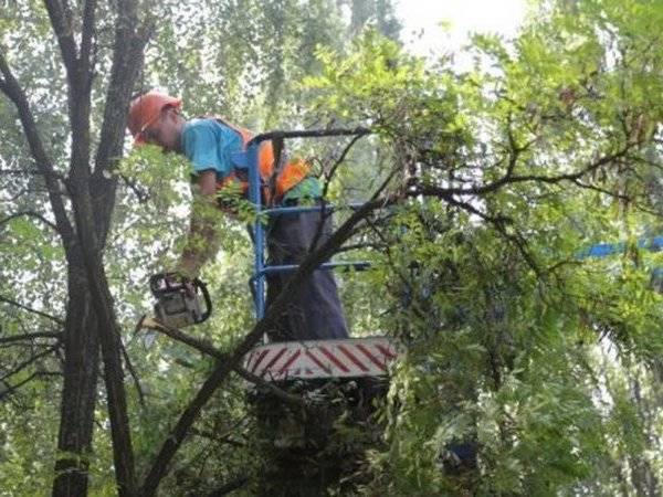 Кременчугские коммунальщики весь день ликвидировали последствия крюковского урагана