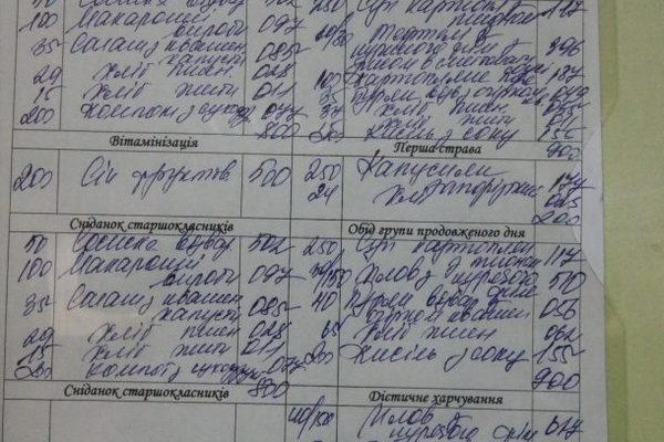 Спецкомиссия с рейдом прошлась по школам Кременчуга