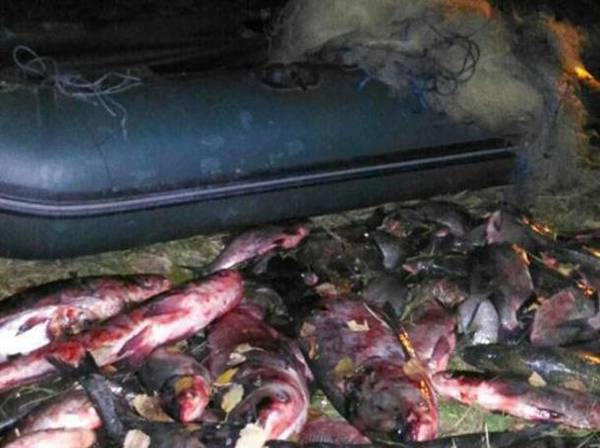 Кременчугские браконьеры наловили рыбы на 28 тысяч гривен