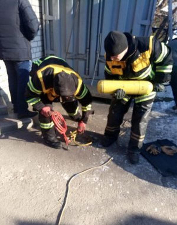 Кременчугские спасатели успешно провели операцию по спасению кота