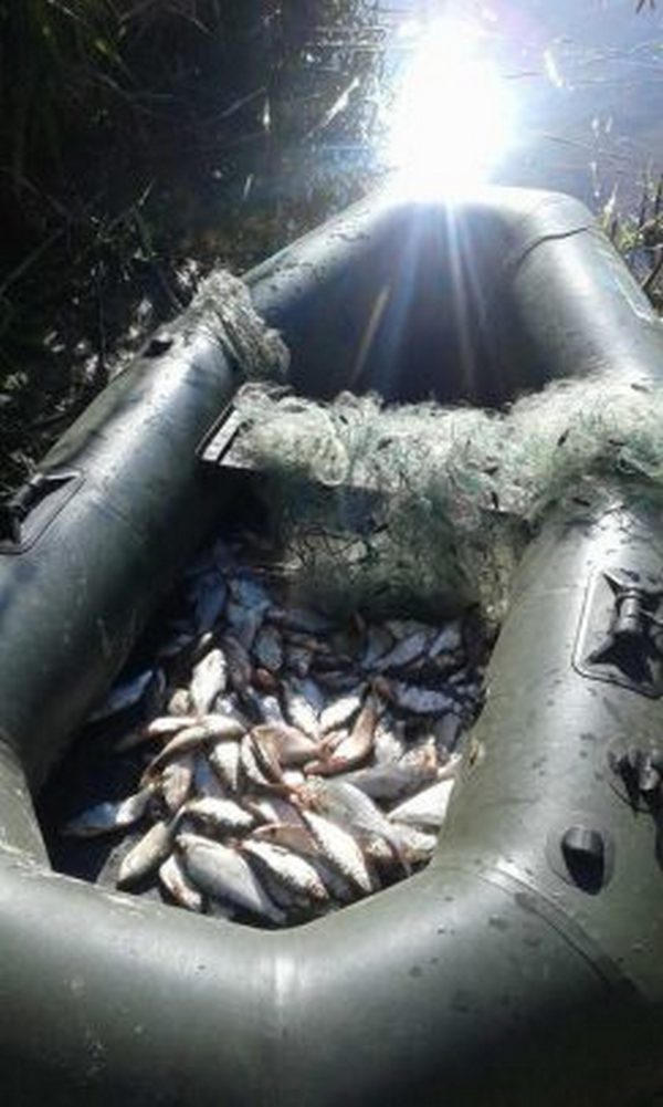 В Кременчуге полиция задержала браконьера с 17 кг рыбы