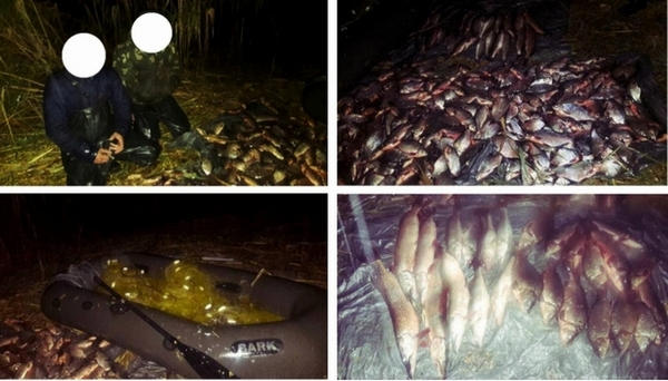 На Кременчугском водохранилище двое рыбаков наловили рыбы на 53 тысячи гривен