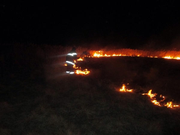 Кременчугские пожарники спасли дом от огня