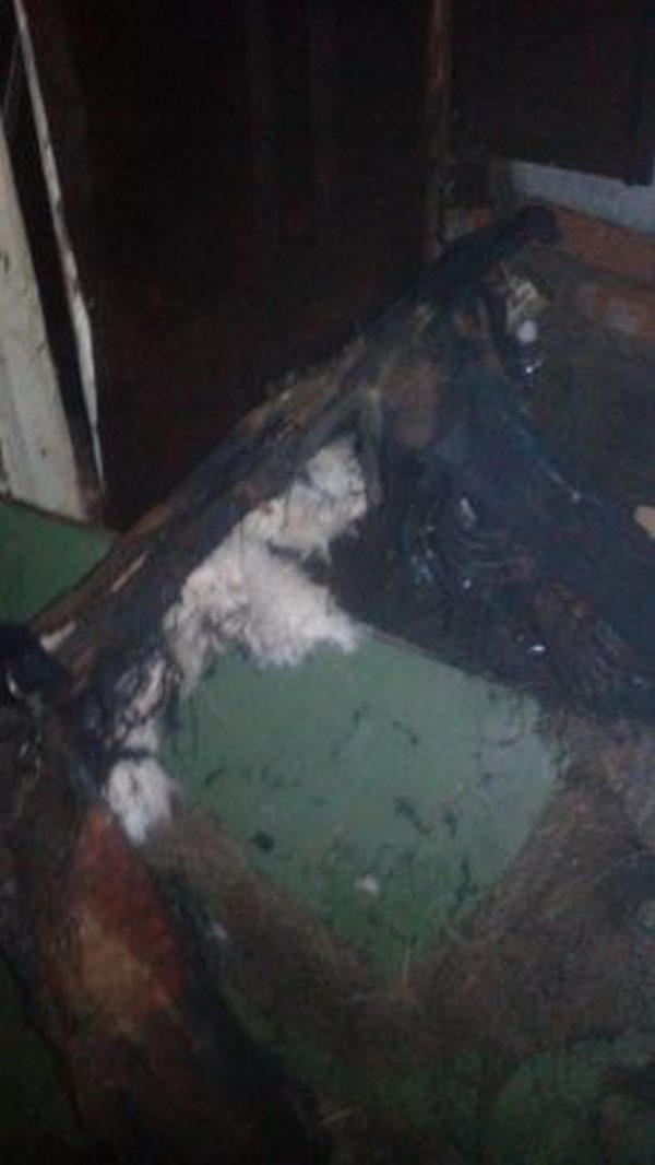 В Кременчуге бомжи устроили пожар в подвале жилого дома