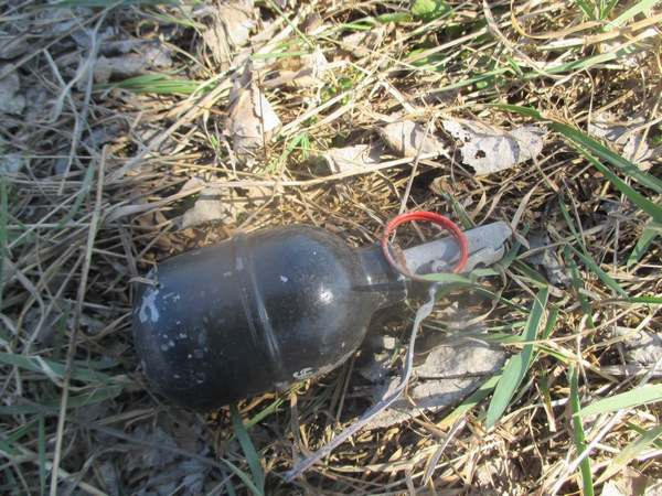 В Кременчугском районе обнаружена граната