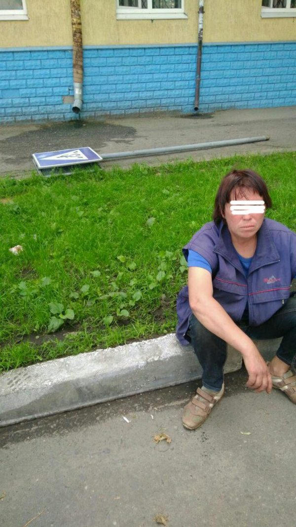Кременчугская полиция поймала воровку дорожного знака