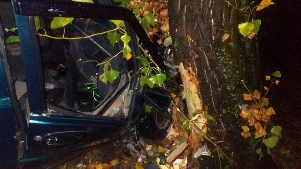 В Кременчуге пьяный водитель врезался в дерево