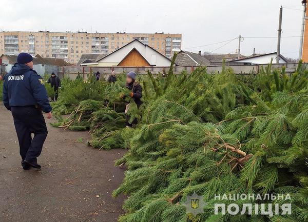 В Кременчуге «елочные рейды» будут продолжаться до конца рождественских праздников