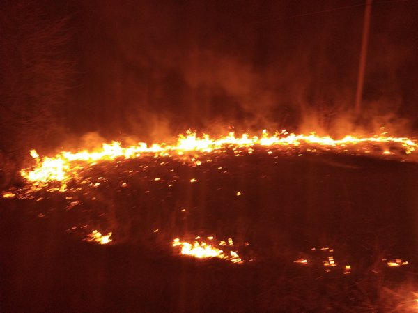 В Кременчуге и районе за сутки произошло 5 пожаров