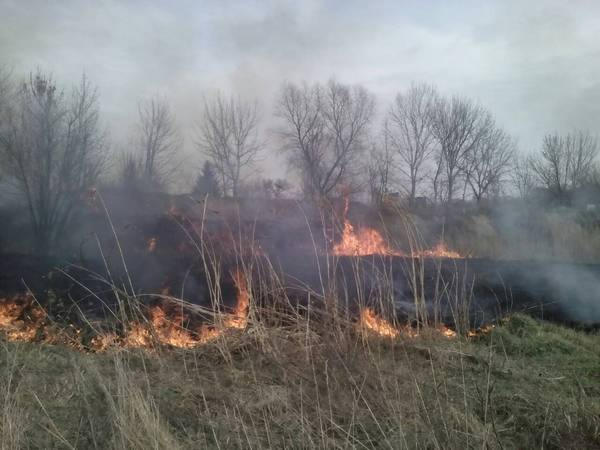 В Кременчуге и районе за сутки произошло 5 пожаров