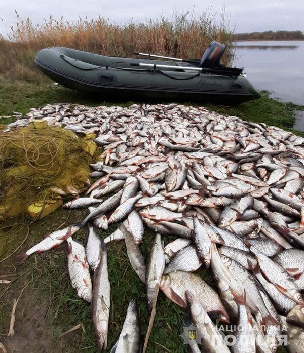 Под Кременчугом браконьеры наловили рыбы почти на 130 тысяч гривен
