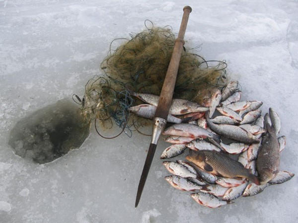 Кременчугские рыбаки нанесли ущерб в общей сумме на 16000 грн.