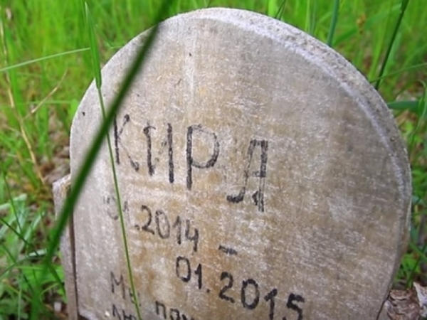 Кременчугское управление ЖКХ ищет место под кладбище для животных