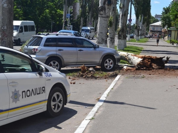 В центре Кременчуга на машину упало дерево. Отвечать как всегда некому