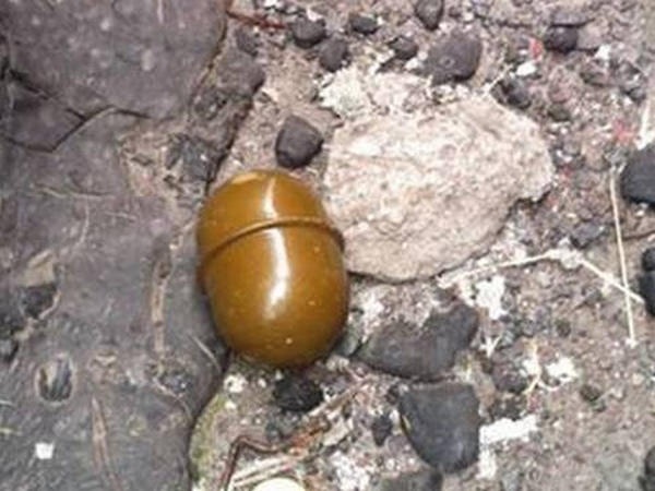 Реалии наших дней: в Кременчуге в гаражах найдена граната