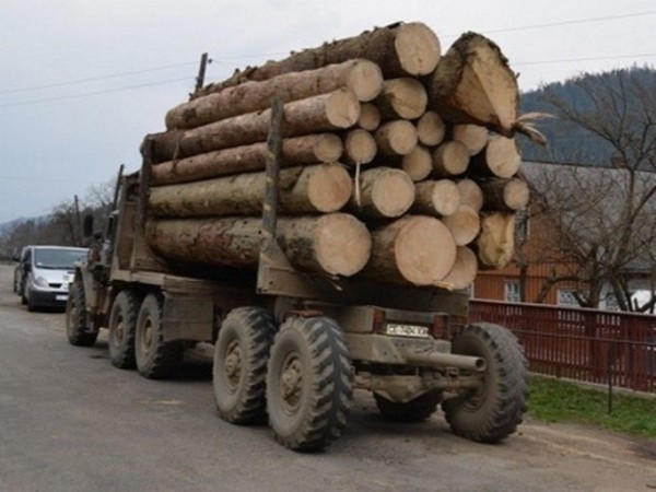 Антимонопольный комитет возбудил уголовное дело против Кременчугского лесного хозяйства
