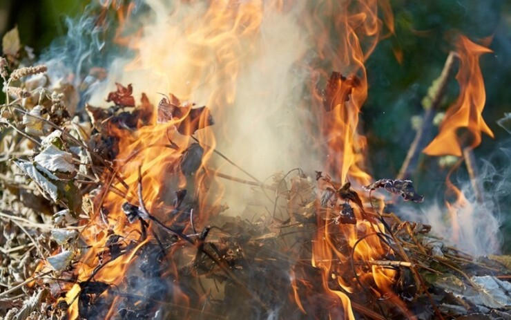 Кременчужанам за сжигание листьев грозит штраф и лишение свободы