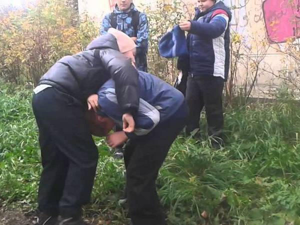 В Кременчугском районе школьники избили своего одноклассника