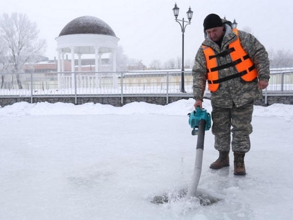 Директор парка «Городской сад» спасает рыбу мэра Кременчуга