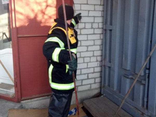 Кременчугские спасатели успешно провели операцию по спасению кота