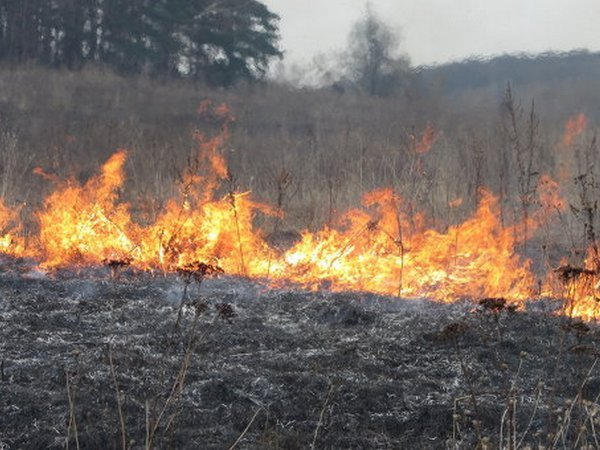 В Кременчуге сгорело 10 га сухой травы