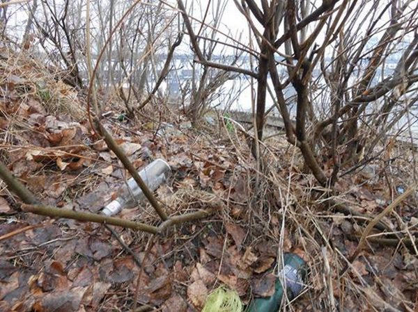 Кременчужан приглашают очистить берега Днепра от мусора