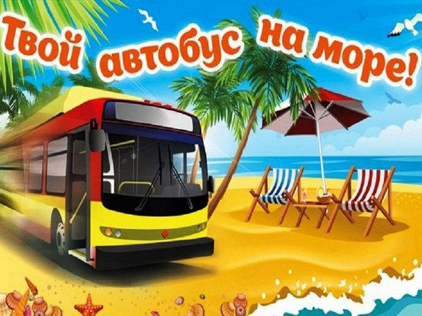 поездка на Черное море на автобусе