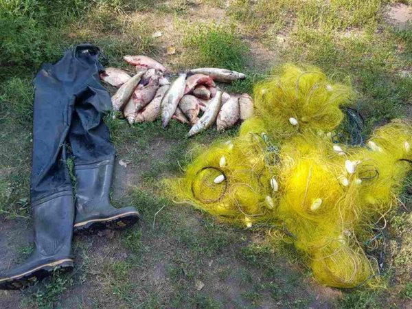 Два браконьера наловили в Кременчугском водохранилище рыбы на 15 тыс. грн