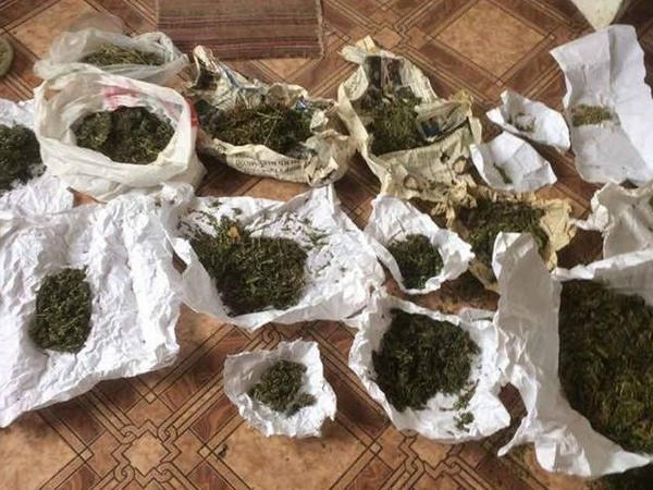 В Кременчугском районе полиция нашла мешок с канабисом