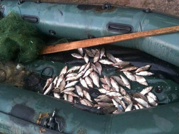 Браконьер наловил на Кременчугском водохранилище рыбы на 9 600 гривен