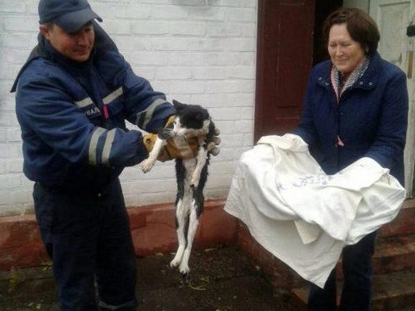 Кременчугские спасатели вытягивали из колодца кота