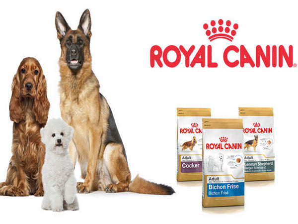 Несколько причин почему корм Royal Canin для собак это отличный вариант для повседневного рациона
