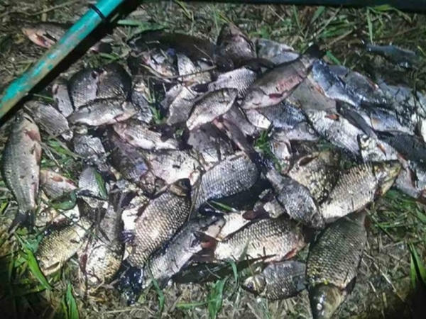 Вблизи Кременчуга браконьер наловил рыбы почти на 6 тысяч гривен