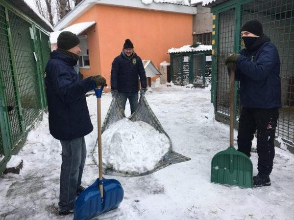 Активисты кременчугского Нацкорпуса освободили бездомных животных от снега