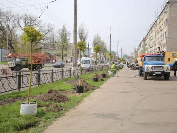 В Кременчуге на улице Первомайской проведут комплексную замену зеленых насаждений