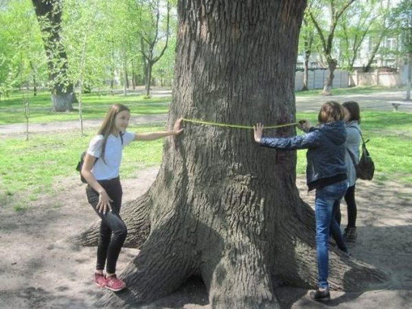 Кременчугским школьникам рассказали о тайнах Городского сада